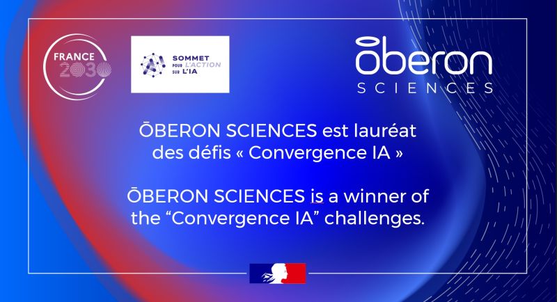 Participation au Sommet de l'IA